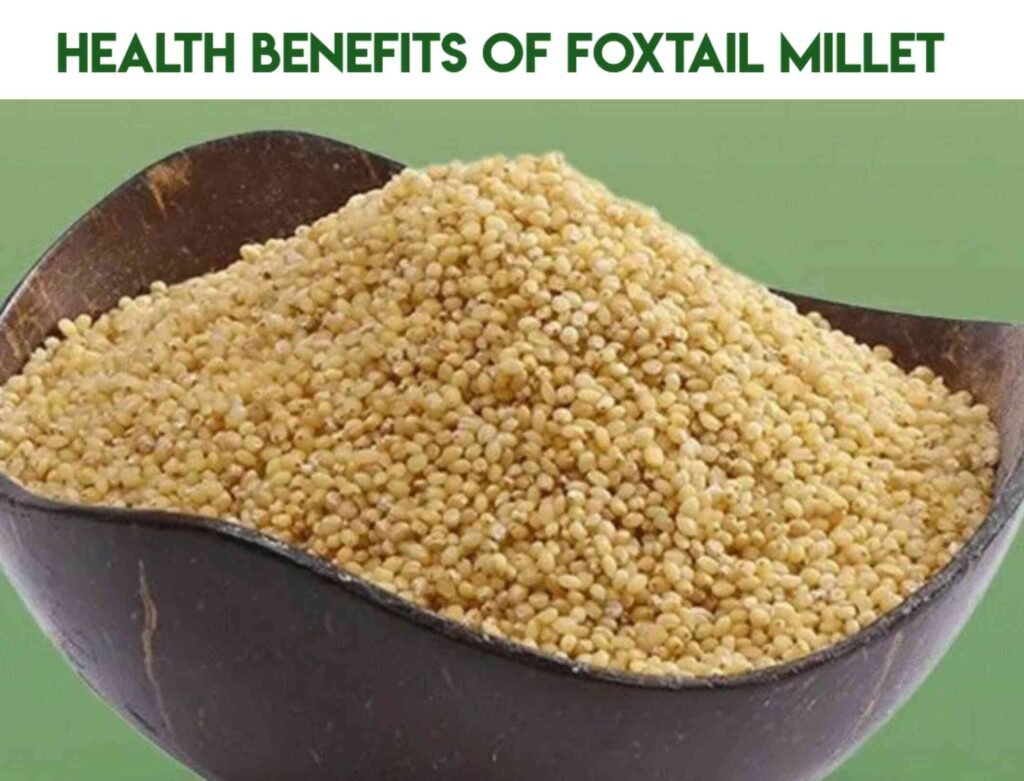 Foxtail Millet In Telugu 1024x781 