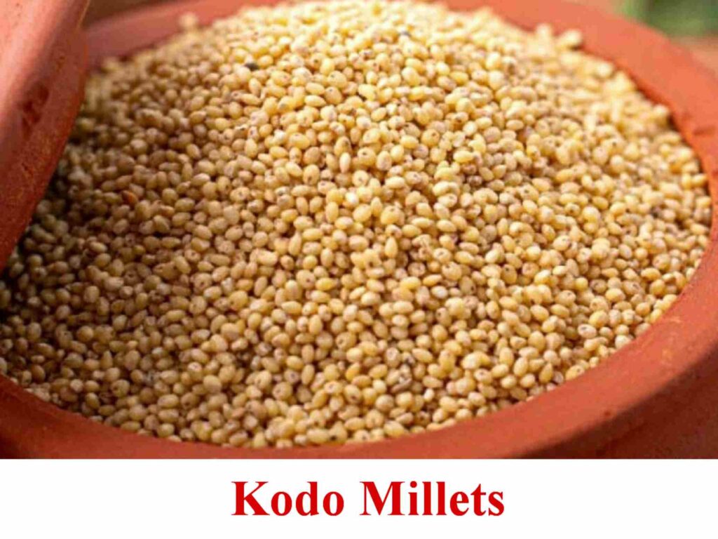 Kodo millet in telugu : అరికెల తో ఆరోగ్య ప్రయోజనాలు - Telugusitara