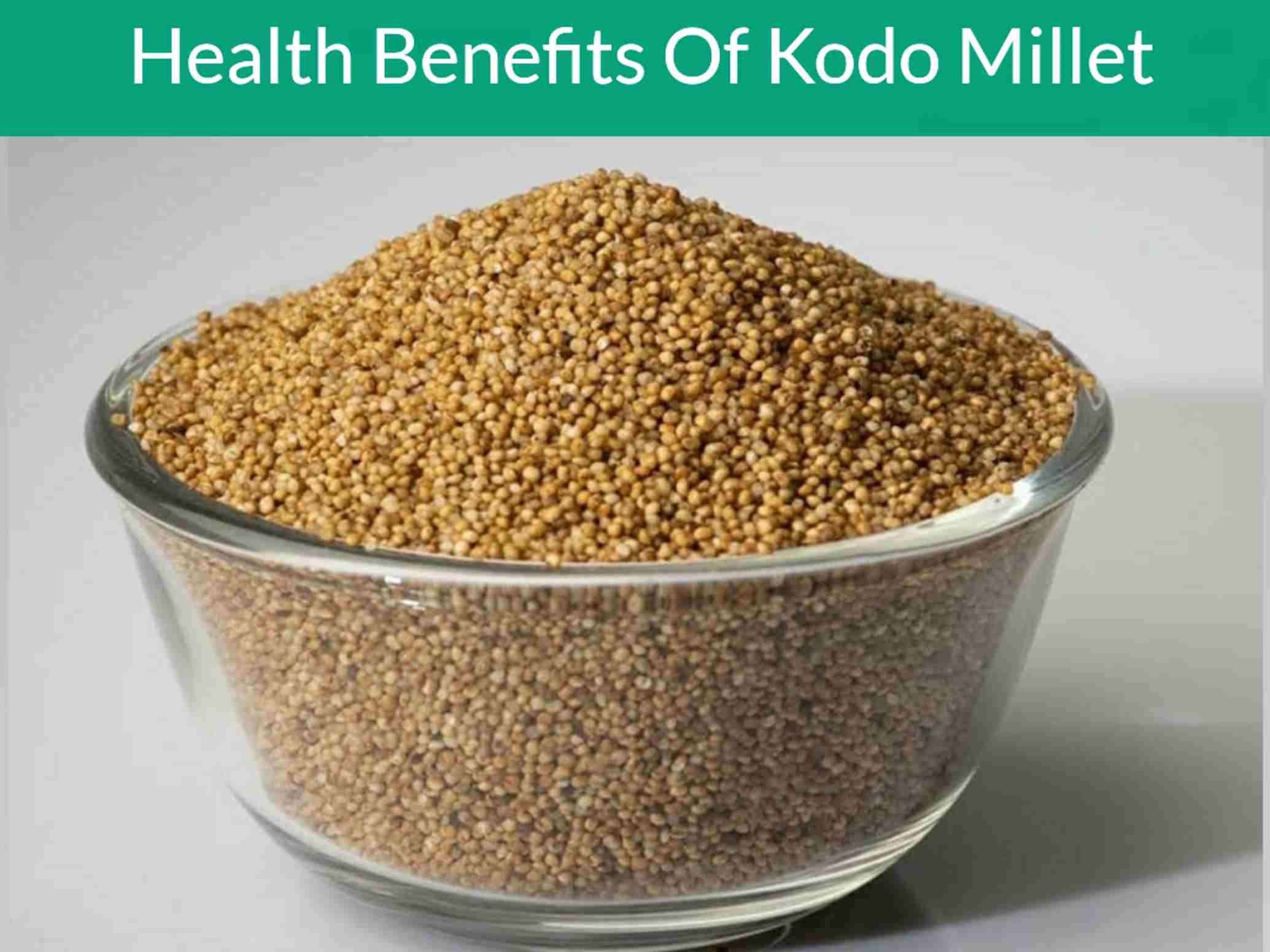 Kodo Millet In Telugu Telugusitara