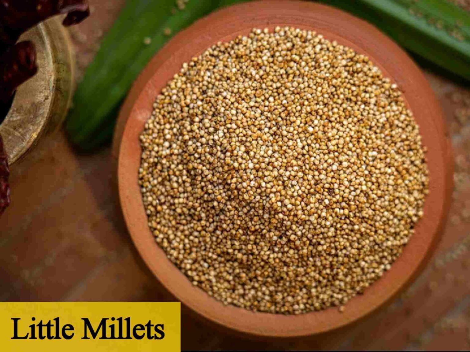 Little millet in telugu సామలతో ఆరోగ్య ప్రయోజనాలు Telugusitara