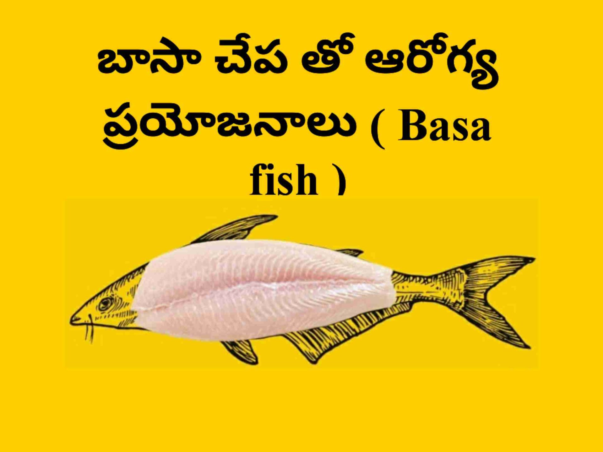 basa-fish-telugusitara