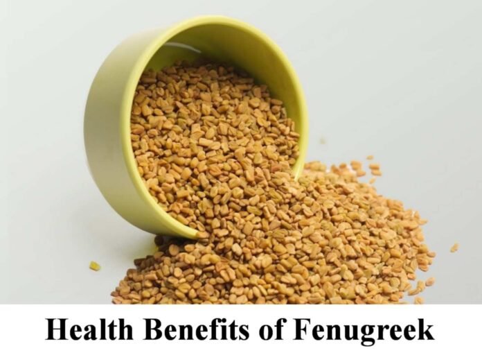 Fenugreek seeds in telugu
