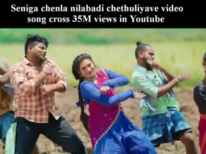 seniga chenla nilabadi-chethuliyave video song